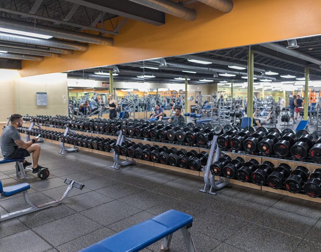 free weights in modern gym in albany
