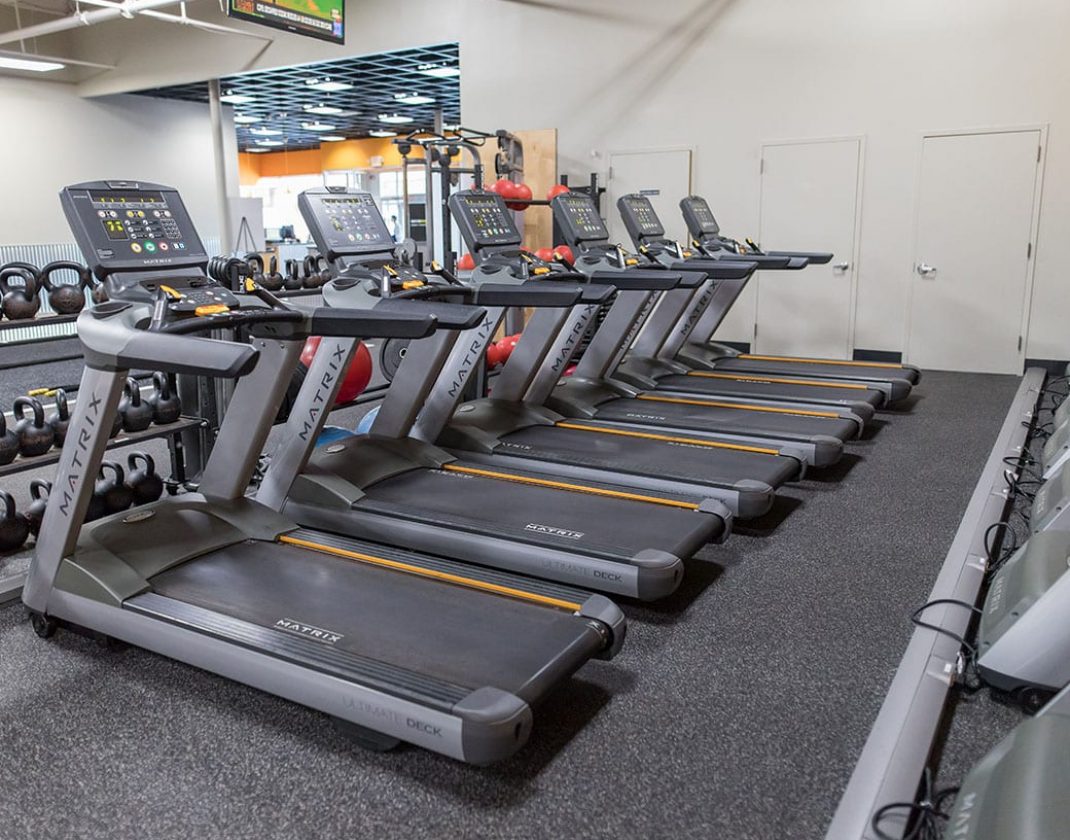 treadmills in modern albany central gym