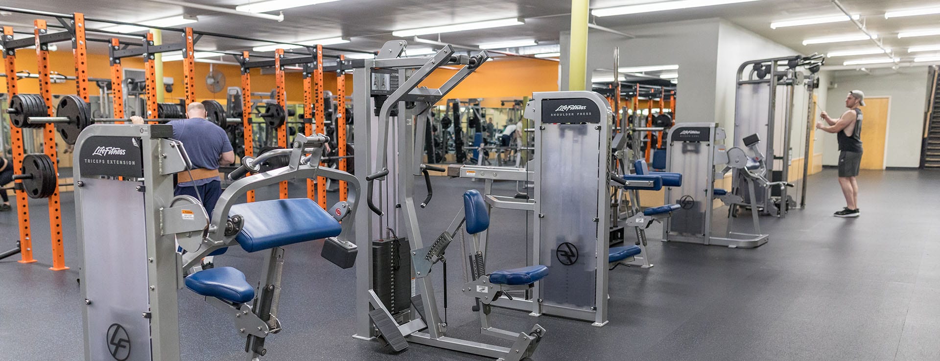 weight loss options at modern gym in albany