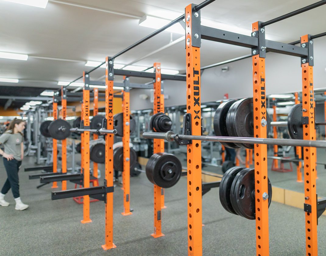 weights in modern gym