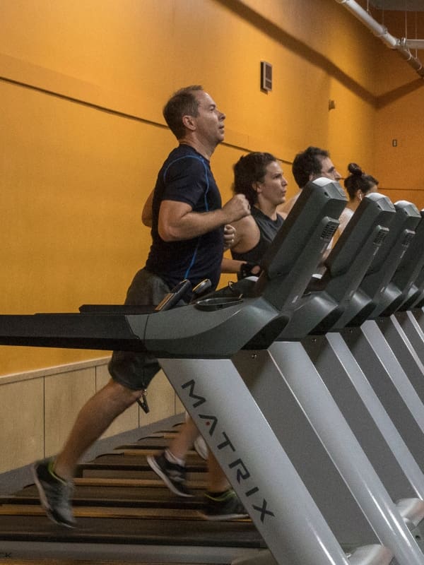 gym members run on a row of treadmills for cardio training at best fitness gym in albany ny