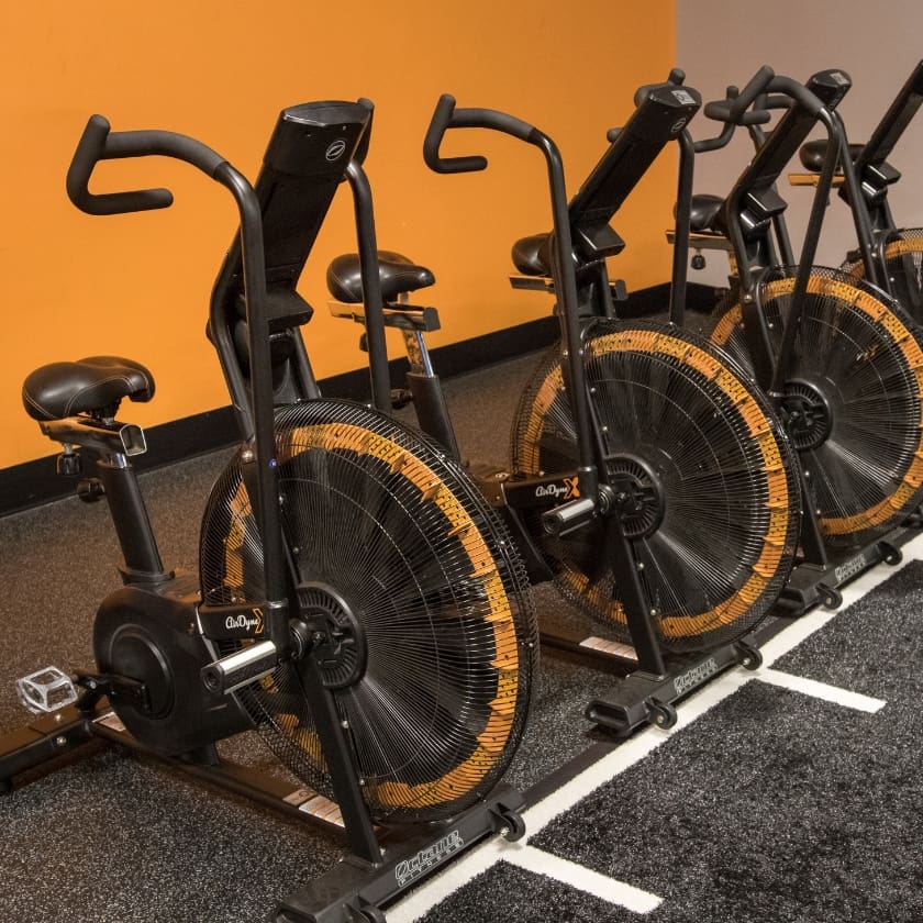 a row of air bike cardio training equipment in albany ny