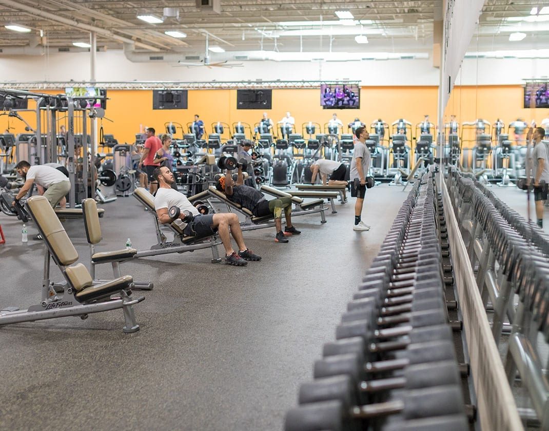 row of free weights in modern gym