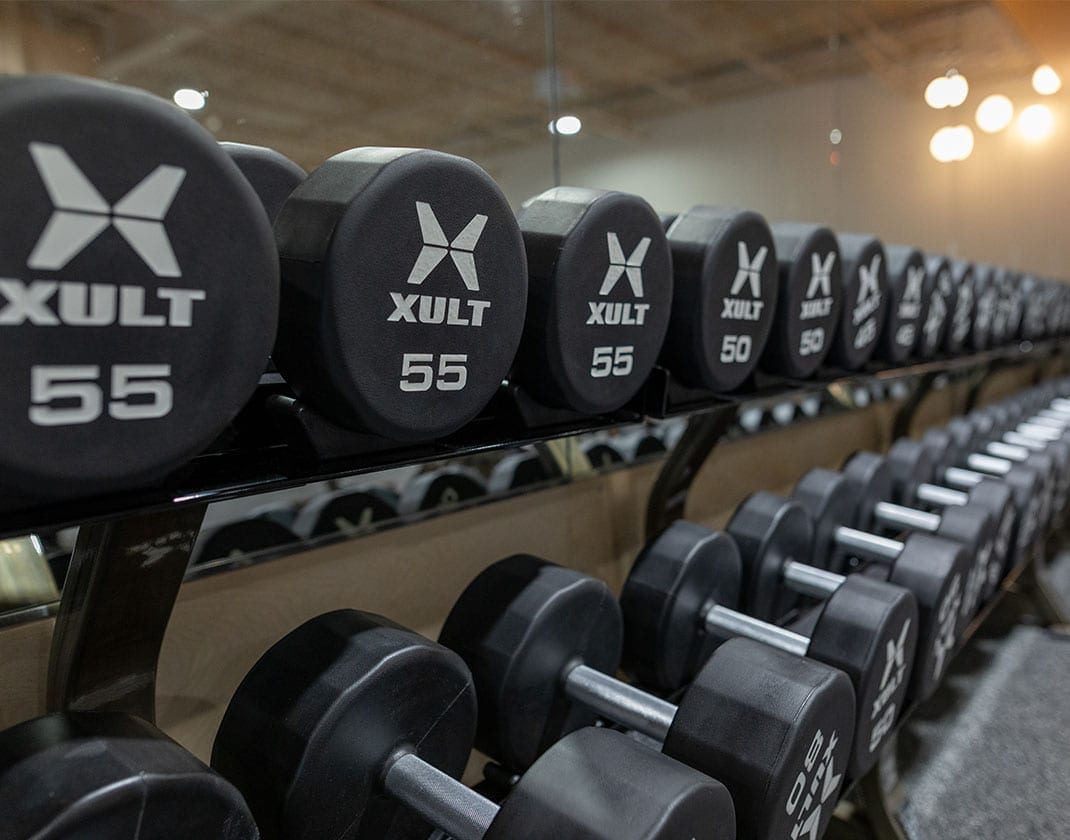 free weights lined up on rack