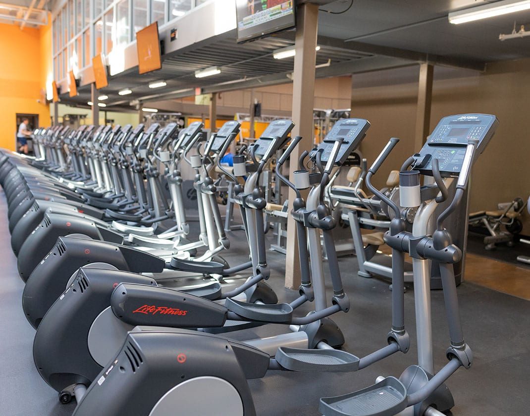 cardio equipment in modern gym