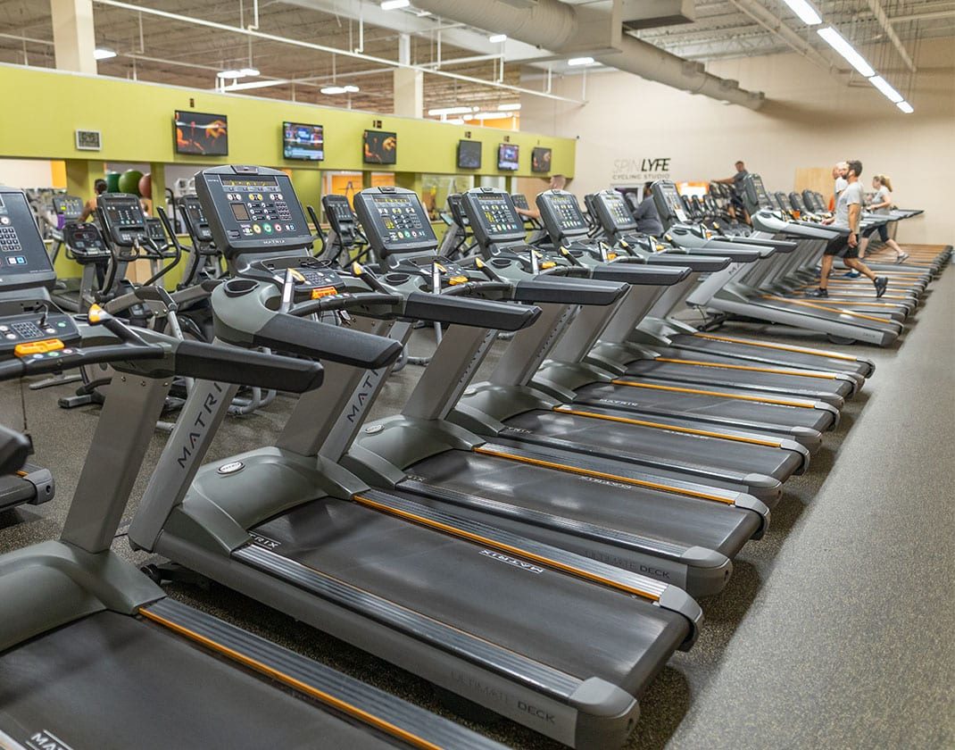 treadmills in spacious fitness center