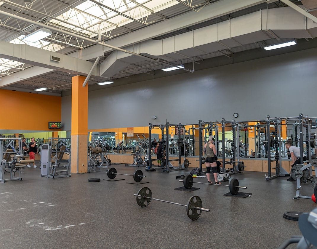 free weights placed on ground in spacious gym